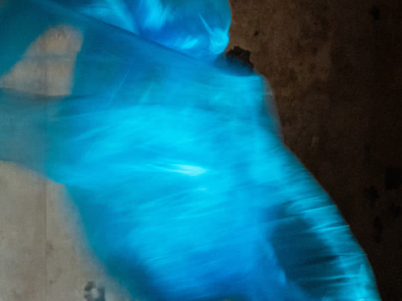 Momentary (Reprise) (Single)