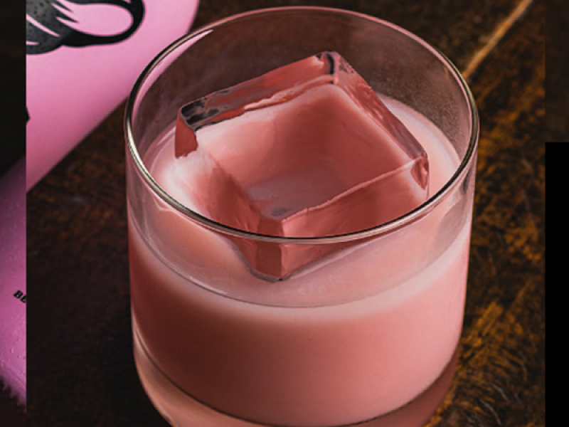 Ballena ela vai querer - Trend Desce no talento (Single)