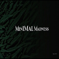 minimal madness (Single)