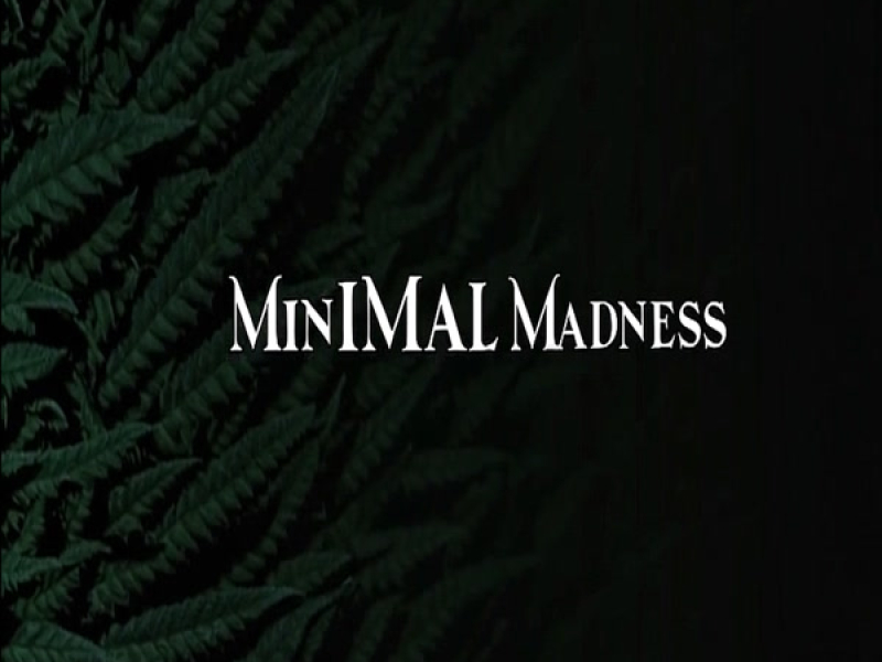 minimal madness (Single)
