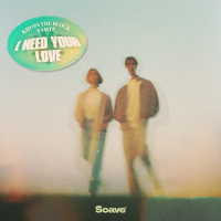 I Need Your Love (Single)