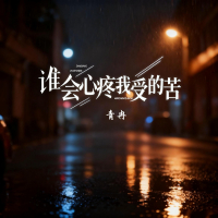 谁会心疼我受的苦 (Single)