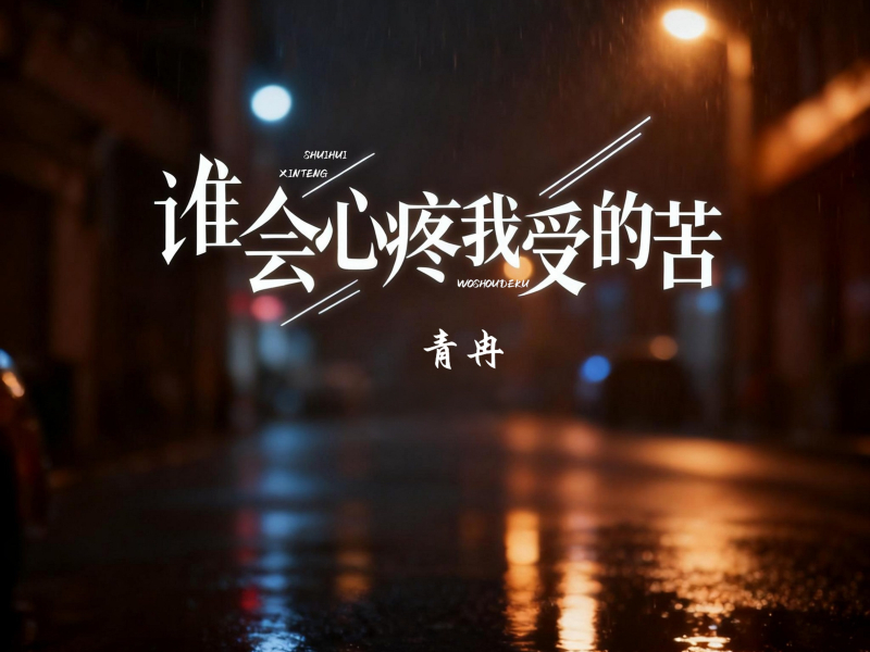 谁会心疼我受的苦 (Single)