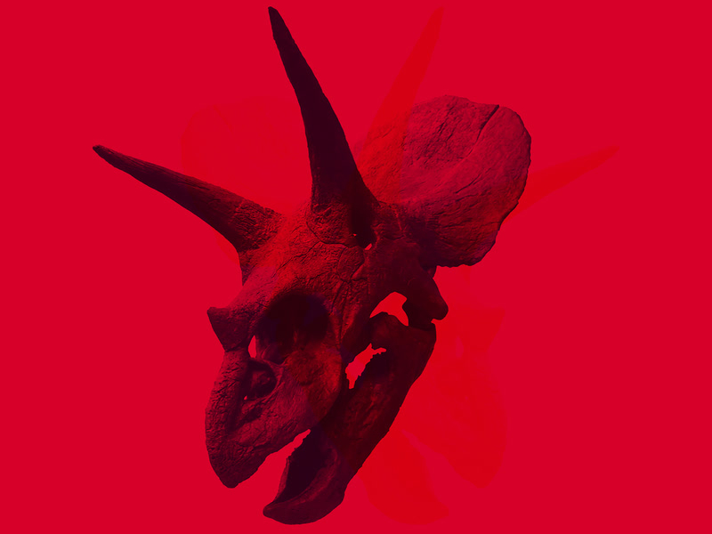 The Devil Put Dinosaurs Here