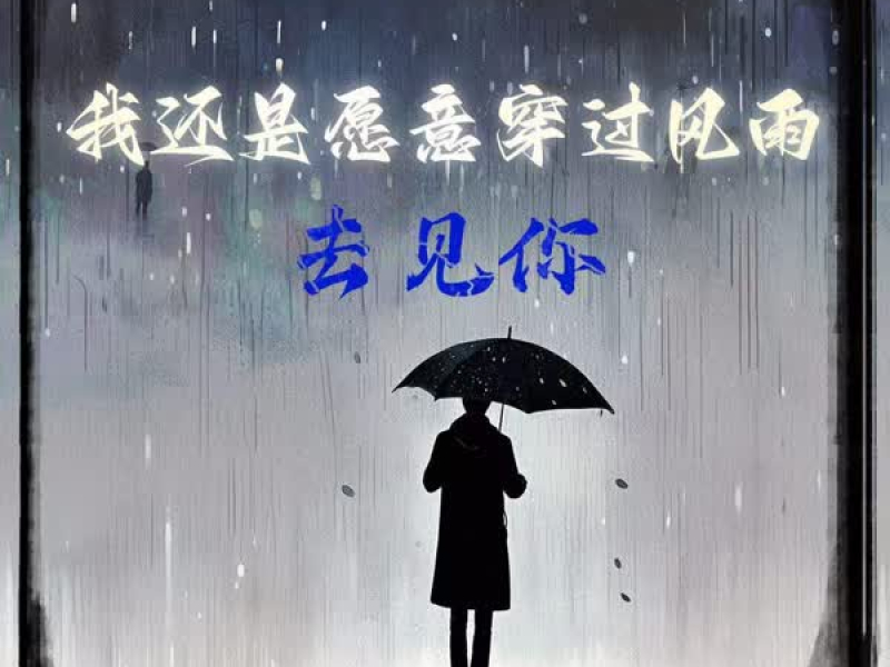 我还是愿意穿过风雨去见你 (Single)