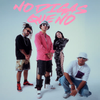 NO DIGAS QUE NO (Single)