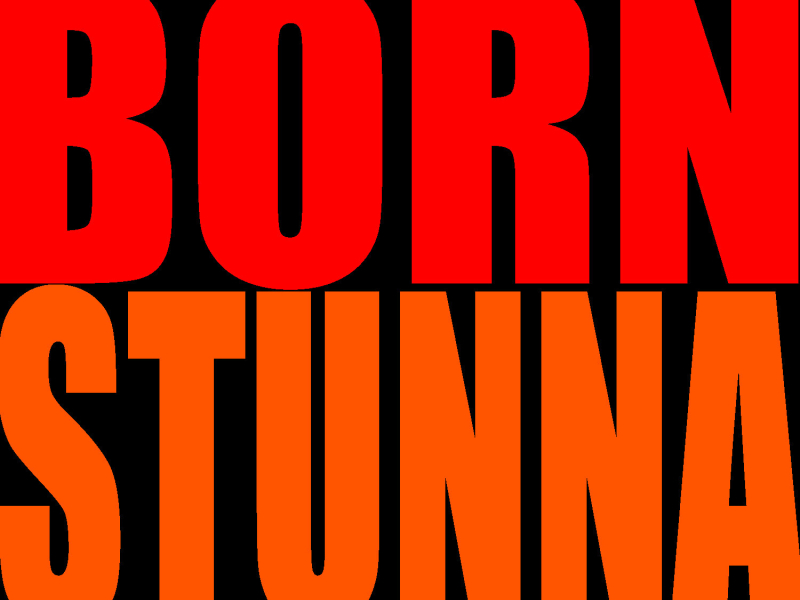 Born Stunna - Single