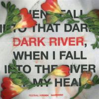 Dark River (Festival Version) (Single)