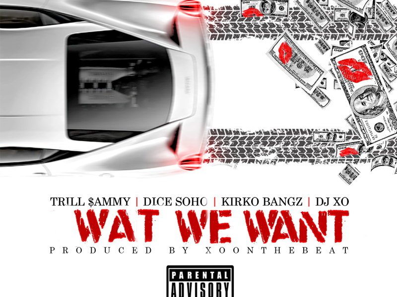 Wat We Want (feat. Kirko Bangz, Dj Xo & Trill Sammy) (Single)