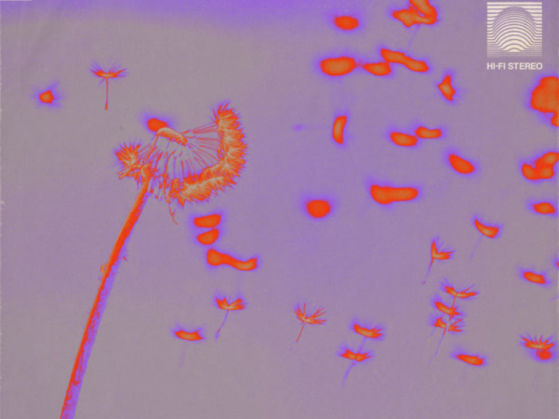 Wish It Was You (Single)