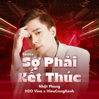 Sợ Phải Kết Thúc (Remix) (Single)