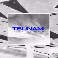 Tsunami (Single)