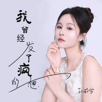 我曾经发了疯的想 (Single)