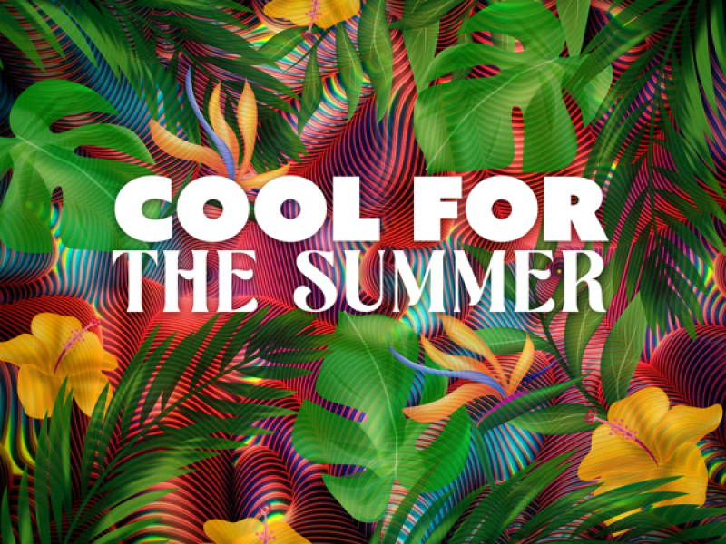 Cool For The Summer (Single)