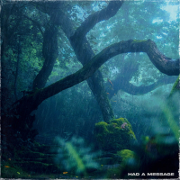 Had a Message (Single)
