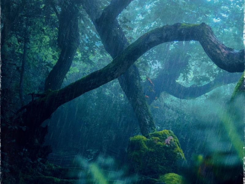 Had a Message (Single)