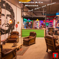 Havana (feat. Ashes and Dreams) (Single)