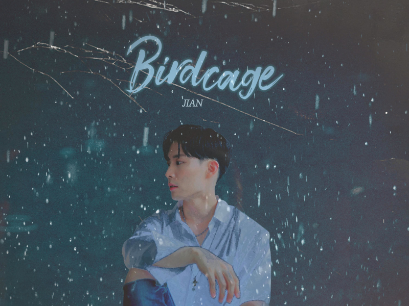 Birdcage (Single)