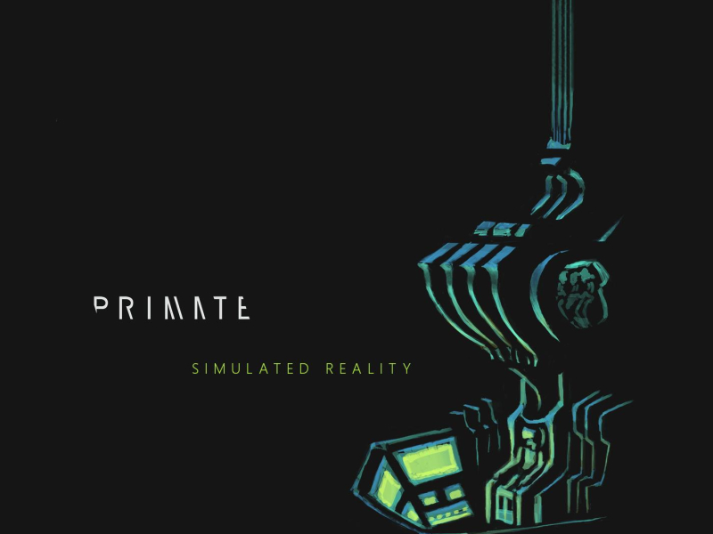 Simulated Reality (Single)