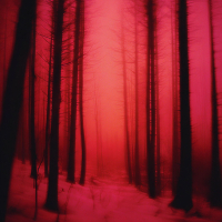 if we only knew (Dark Ambient) (EP)