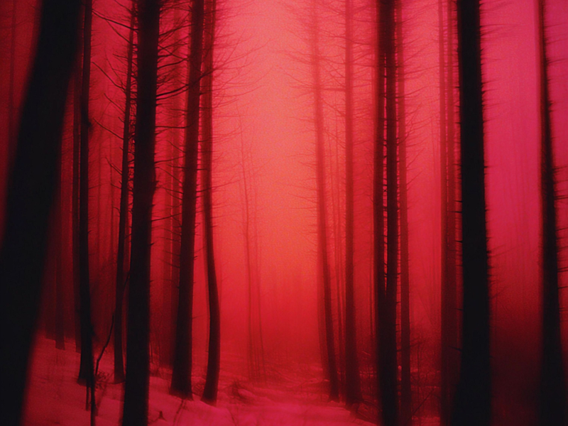 if we only knew (Dark Ambient) (EP)