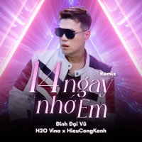 14 Ngày Nhớ Em (Remix) (Single)