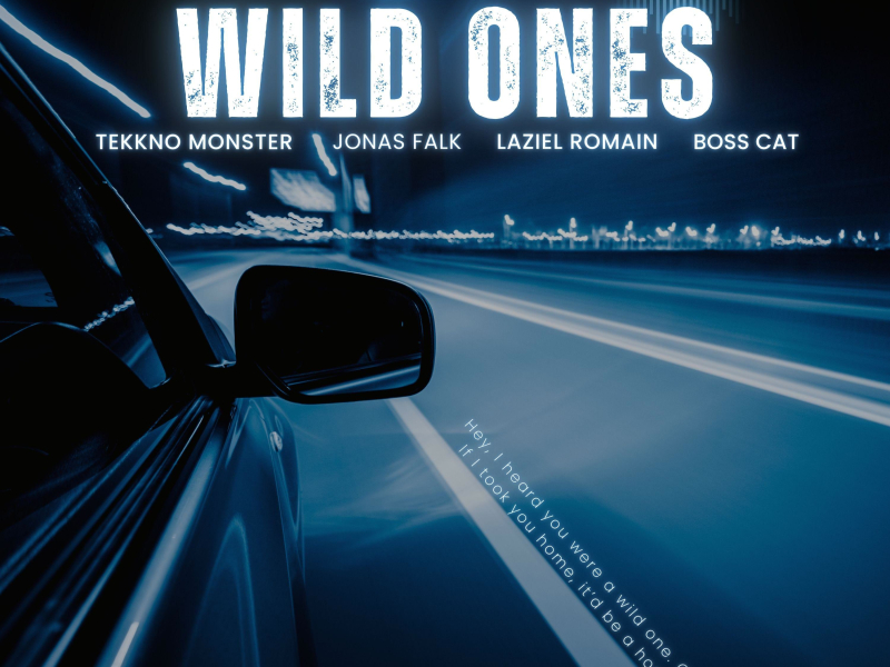Wild Ones (EP)