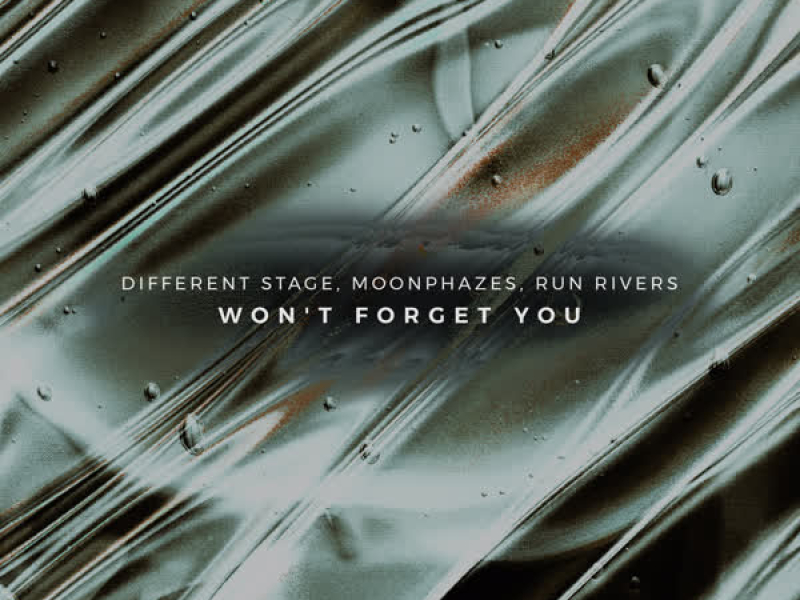 Won't Forget You (Single)