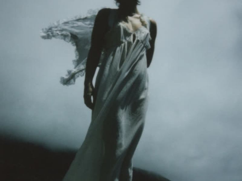 Fish Bird Baby Boy (EP)