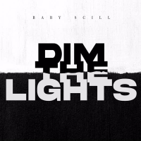 Dim the Lights (Single)