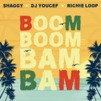 Boom Boom Bam Bam (Single)