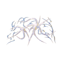 OSTENTATIOUSLY SO (Single)