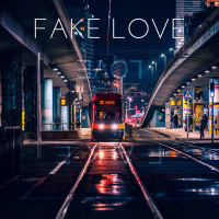 Fake Love (Single)
