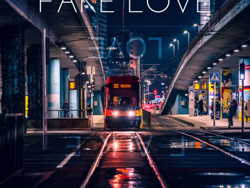 Fake Love (Single)