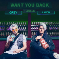 Want You Back (Remixes) (Single)