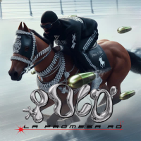 Polo (Single)