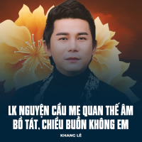 LK Nguyện Cầu Mẹ Quan Thế Âm Bồ Tát, Chiều Buồn Không Em (Single)