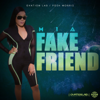 Fake Friend (Single)
