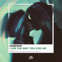 I Like The Way You Kiss me (Single)