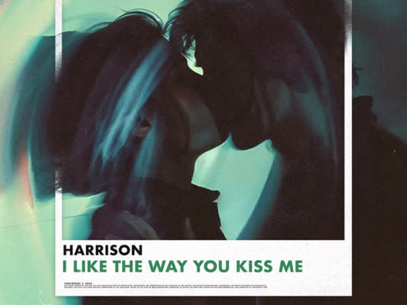 I Like The Way You Kiss me (Single)