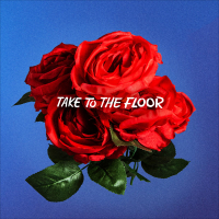 Take To The Floor (Single)