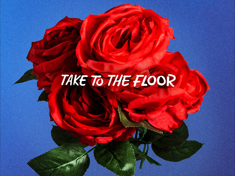 Take To The Floor (Single)