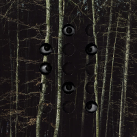Trees Have Eyes (Single)