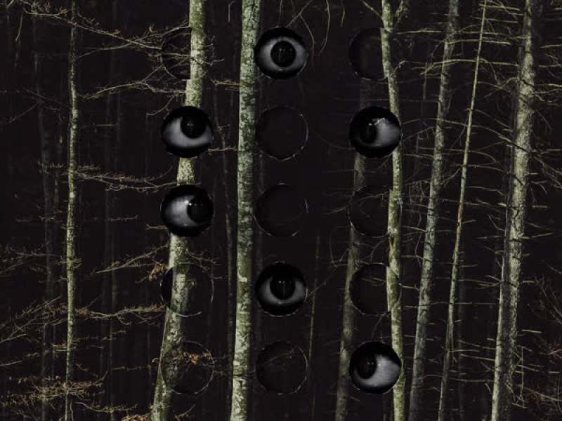 Trees Have Eyes (Single)