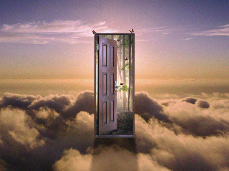 Doors To Perception (Single)