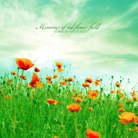 Memories of red flower field (Single)