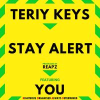 Stay Alert (Single)