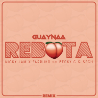 Rebota (Remix) (Single)