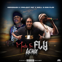 Made Em Fly (Synthgocrazy Remix) (Single)