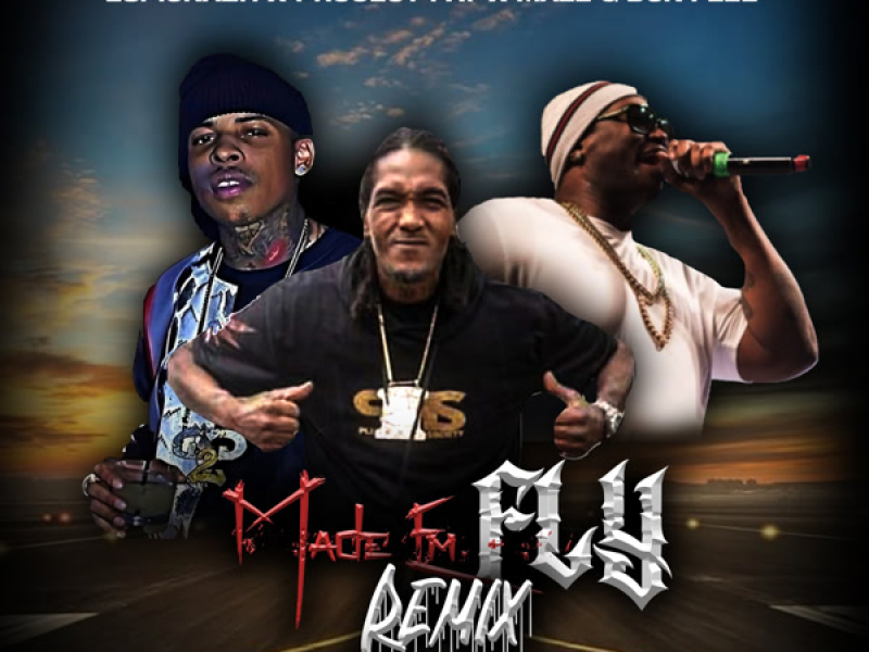 Made Em Fly (Synthgocrazy Remix) (Single)